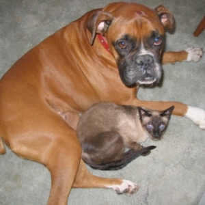 Harley and Holly