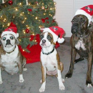Christmas 2005