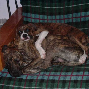 buster & lady buds forever