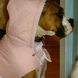 Ali modelling her new coat.