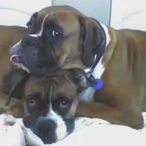 Exhausted at Christmas