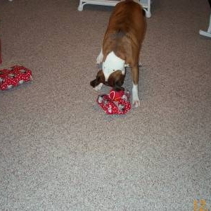 Atlas finally gets present open!