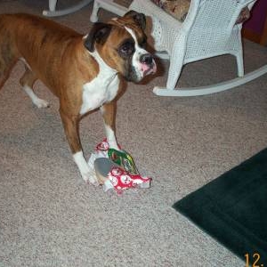 Atlas-got any more presents?