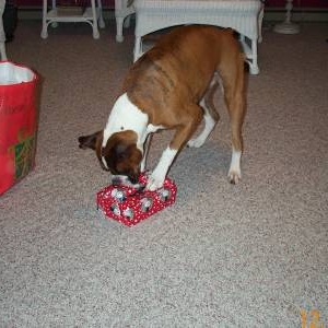 Atlas-Oh boy, another present!