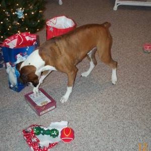 Oh boy treats!  I want one now!!