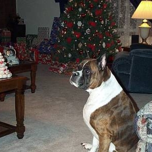 My Abby Xmas 2000