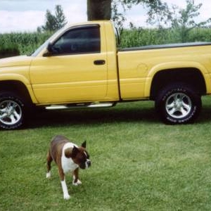 Last pic of our Abby by our Ram - 2001