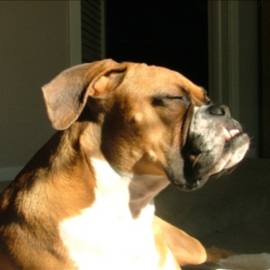 Sunshine!