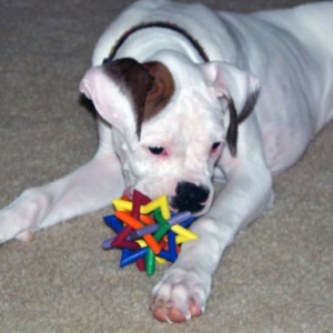 Ellie's First Christmas 2005