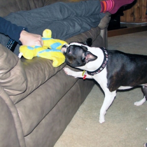 Christmas 2005
