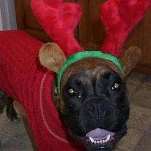 Sophie's Christmas Outfit