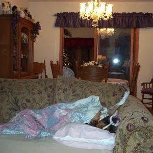 Spoiled rotten!