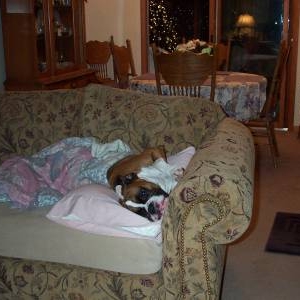 Please let me go back to sleep!