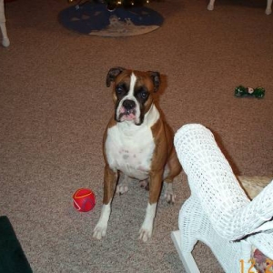 Atlas posing for camera!