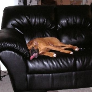 Looooong tongue!!!