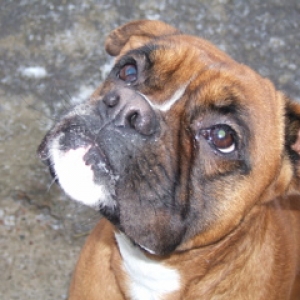 DSCF0168_2