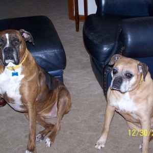 Maggie and Roxie