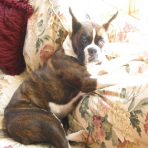 what do you mean this isn't my bed!?