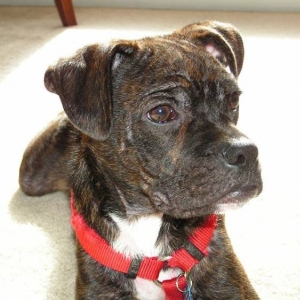 Ernie01