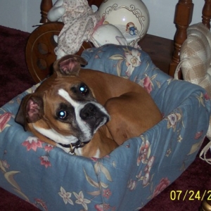 SEE HOW SMALL I CAN MAKE MYSELF