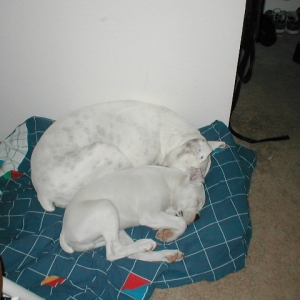 Sleeping (12wks)