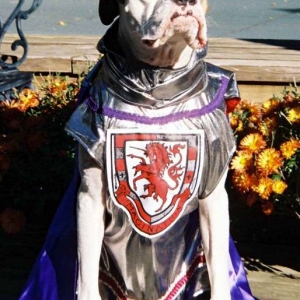 Brewy as a Medieval Knight for Halloween '05