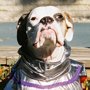 Brewy Close-up Halloween '05
