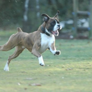 Speed