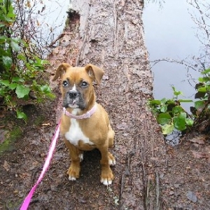 Nervously Sitting On The Log