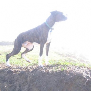 Cassius in the spot light