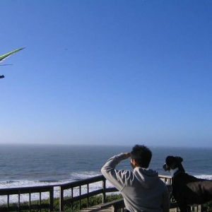 Watching hang-gliders at Fort Funston