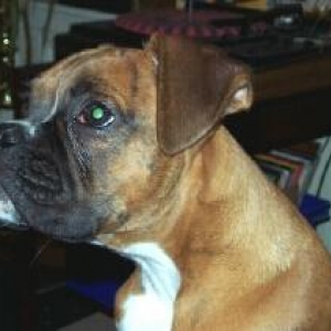 DelBoy 5 months