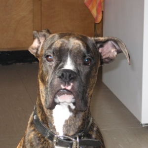 My baby boy Max