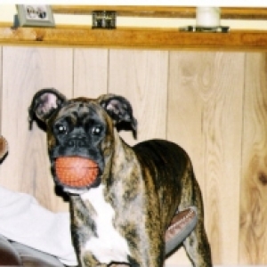 With my Ball