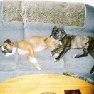 My Sister Roxy