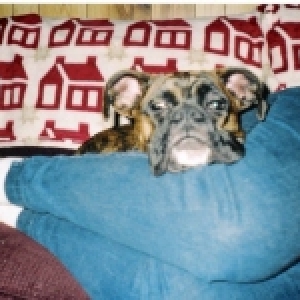 Snuggle Bug