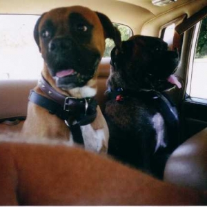 Car ride