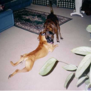 Having Fun
