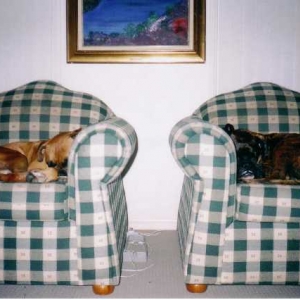 Mirror Image