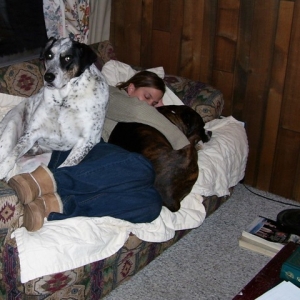 Angus (heeler mix), Iris (boxer) and me (human)