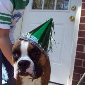 My first birthday