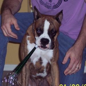 Maxx's 1st birthday