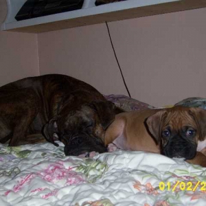 Torin-Kirra_Bed