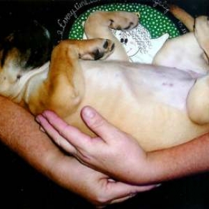 Sleeping Like a Baby