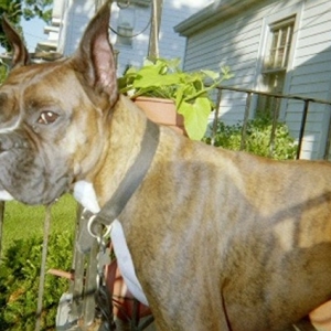 Okay, here is my serious look ...