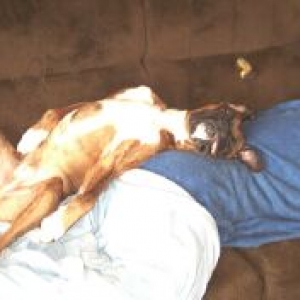 DelBoy sleeping on Dad