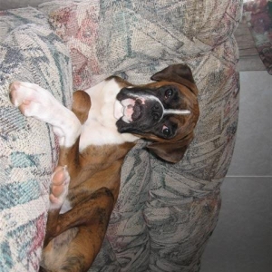 January 2006