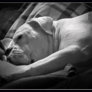 Sleeping