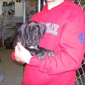 Here's another of our new little boy!