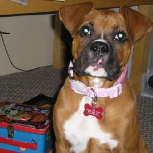 First Big Girl Collar
